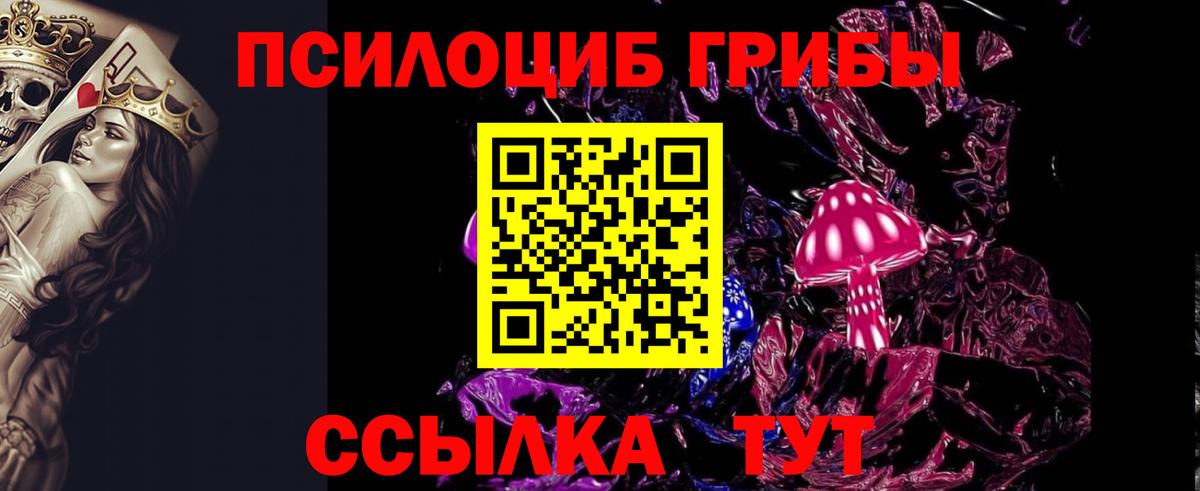 Галлюциногенные грибы Psilocybe Смоленск
